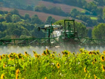 Ефективний інсектицидний захист соняшнику*