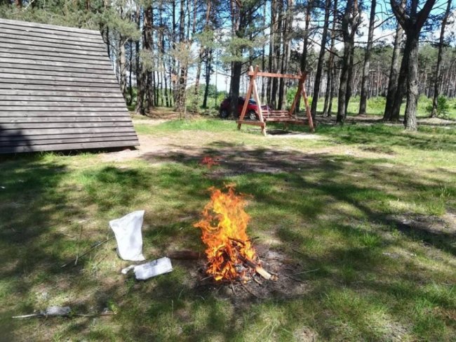 Волинянка поділилась світлинами грибного «улову». ФОТО