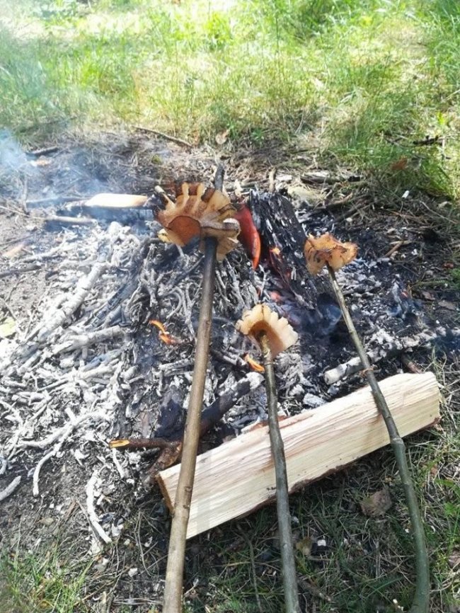 Волинянка поділилась світлинами грибного «улову». ФОТО