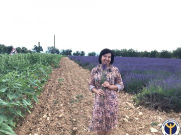 Волинянка поділилась секретами з вирощування лаванди