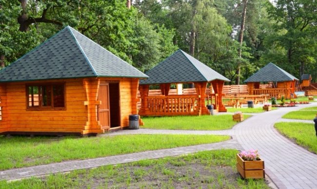 Літо у лісі: відпочивальникам радість, лісівникам – посилена охорона