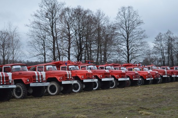 Літо у лісі: відпочивальникам радість, лісівникам – посилена охорона