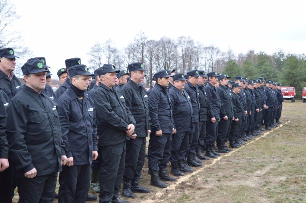 Літо у лісі: відпочивальникам радість, лісівникам – посилена охорона