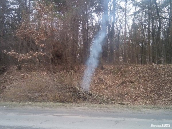 Хто палить гілля на трасі «Луцьк-Володимир-Волинський». ФОТО
