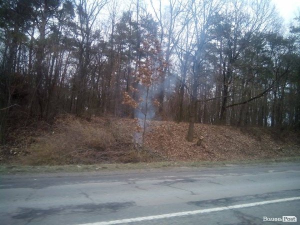 Хто палить гілля на трасі «Луцьк-Володимир-Волинський». ФОТО