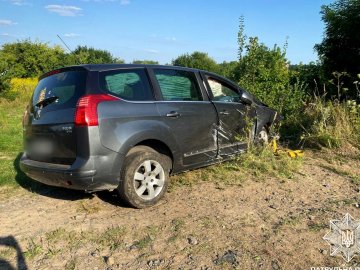 На Волині водій в'їхав у дорожній стовп. ФОТО
