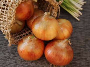 В Україні почала дешевшати цибуля