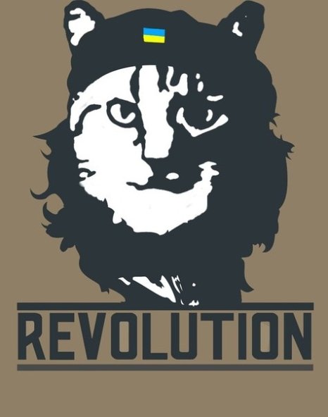 Бабуся і кіт: фотожабоманія триває. ФОТО