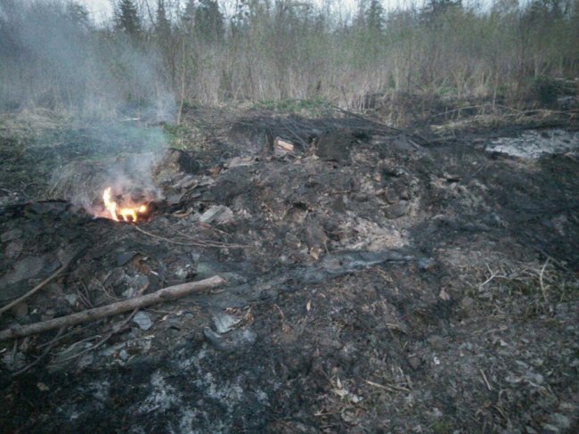 До біди недалеко: у луцькому парку вдруге поспіль гасили вогонь