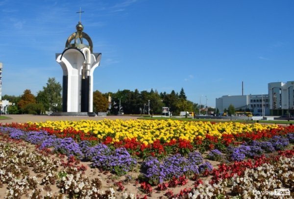 Місто, яке я люблю. Квіти Луцька