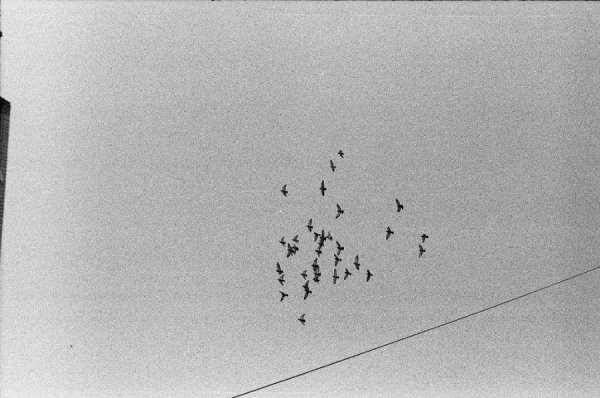 Фотовиставка Ігоря Семенюка