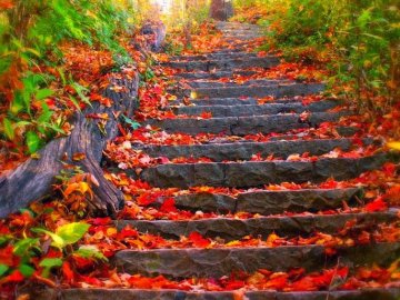 1 жовтня – яке сьогодні свято: традиції, заборони і прикмети