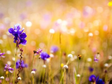 Погода в Луцьку та Волинській області на вівторок, 25 травня