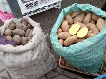 Скільки у Луцьку коштує картопля на ринку