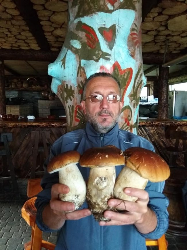 Волинський музикант назбирав гори грибів. ФОТО