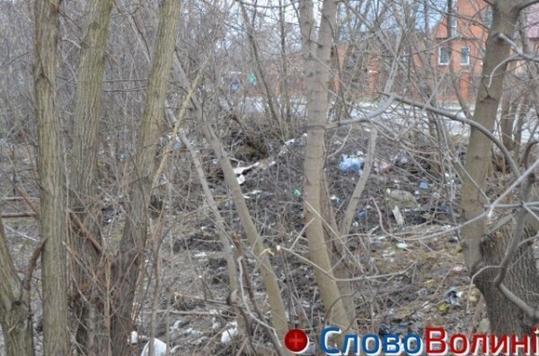 У Луцьку на «чистку» зон біля водойм виділили 600 тисяч гривень. ФОТО