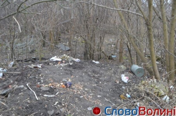 У Луцьку на «чистку» зон біля водойм виділили 600 тисяч гривень. ФОТО