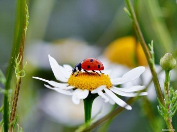 Погода на завтра, 9 липня, у Луцьку та Волинській області