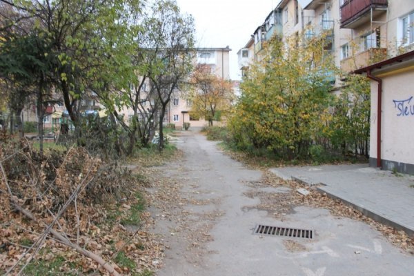 Лучани перетворили свій двір на смітник. ФОТО