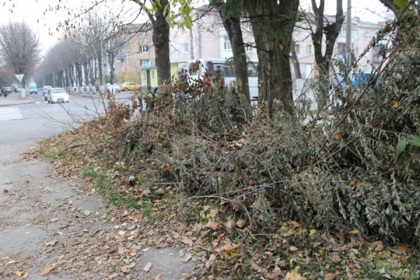 Лучани перетворили свій двір на смітник. ФОТО