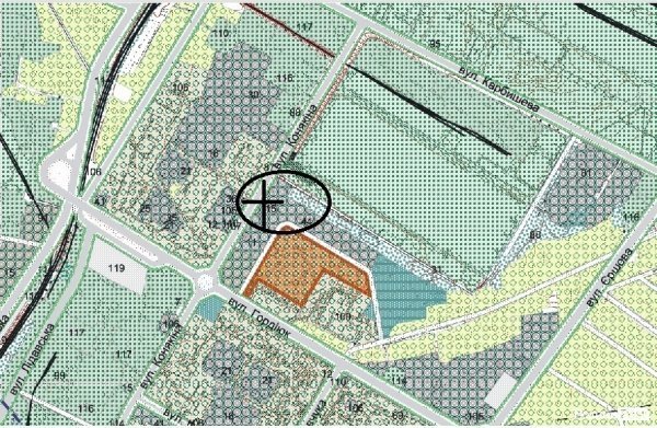 У Луцьку ріжуть дерева, аби збудувати церкву. ФОТО