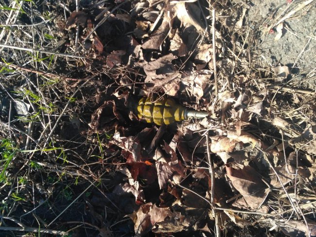 На Волині чоловік підірвав гранату на подвір‘ї в односельчанина