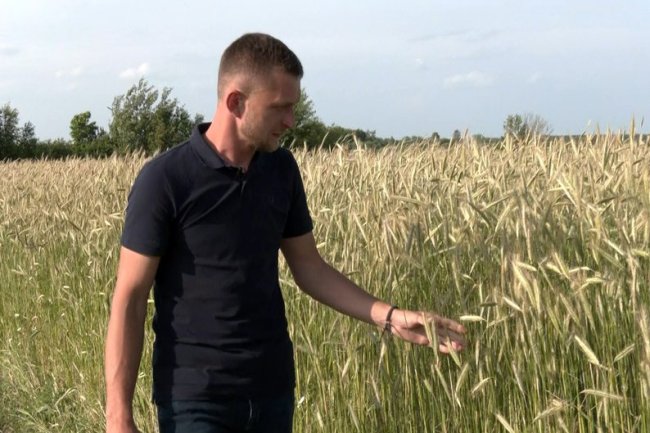 Родина на Волині обробляє понад 80 гектарів землі