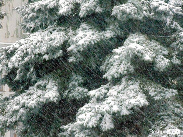 Луцьк засипало снігом. ФОТО