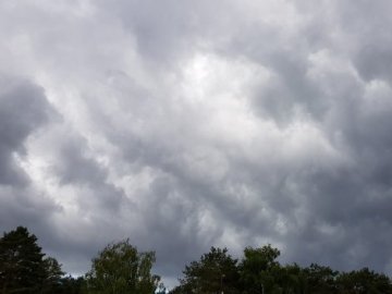 Погода в Луцьку та Волинській області на вихідні, 31 серпня і 1 вересня.