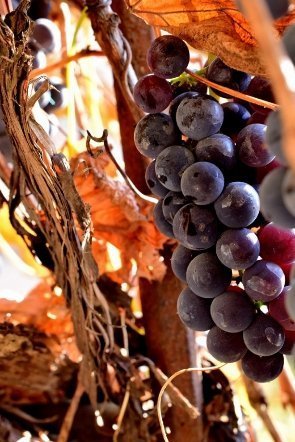 Луцьк осінній: краса на фото