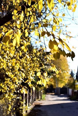 Луцьк осінній: краса на фото