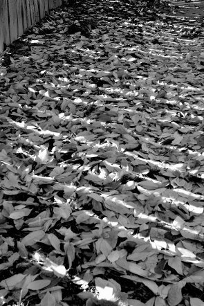 Луцьк осінній: краса на фото