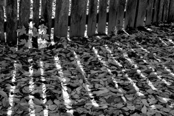 Луцьк осінній: краса на фото