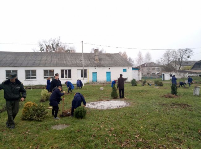 Волинські школярі за ідею дендропарків отримали нагороди