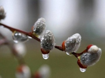 Погода в Луцьку та Волинській області на вівторок, 19 березня