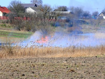 Під Луцьком чоловік палив суху траву та ледь не спровокував пожежу в селі. ФОТО