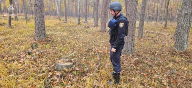 На Волині грибники знайшли вибухонебезпечний предмет у пеньку. ФОТО