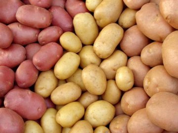 В Україні прогнозують подорожчання картоплі