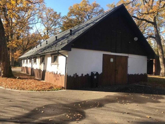 На Волині продали з аукціону державне мисливське господарство