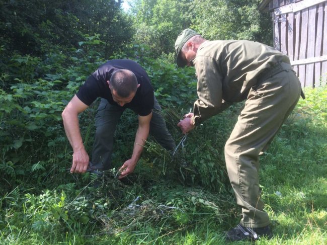 У Шацькому нацпарку до зимової підгодівлі тварин готуються ще влітку. ФОТО