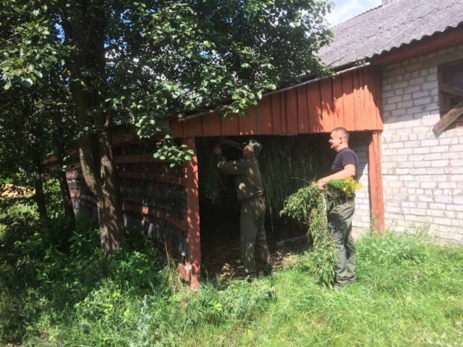 У Шацькому нацпарку до зимової підгодівлі тварин готуються ще влітку. ФОТО