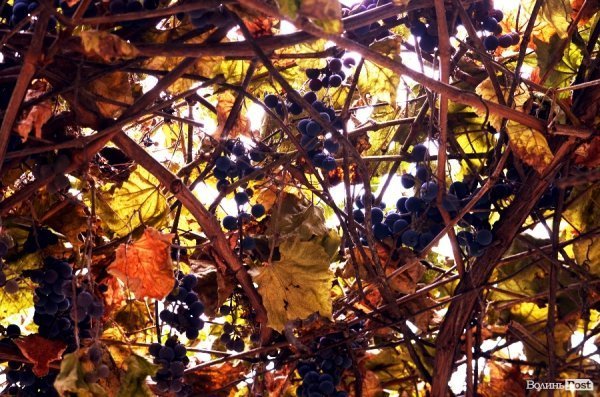 Фотопогляд: вулиця Богдана Хмельницького