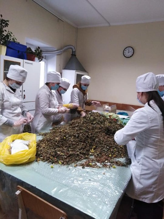 Студенти-медики відправили для військових на передову понад пів тонни фіточаю