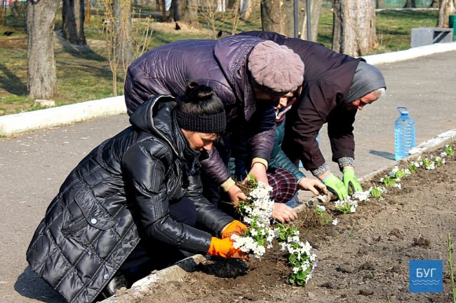 «Кожному – по дві троянди»: на Волині мами і дружини загиблих бійців висадили квіти в парку