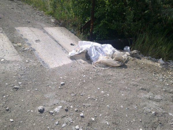 2,5 сепаратиста