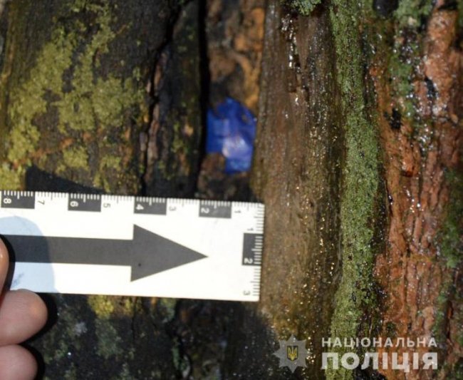 У Ковелі зловили молодика, який торгував наркотиками