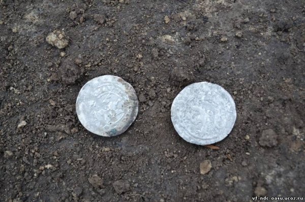 Біля Луцька знайшли 600-річний скарб