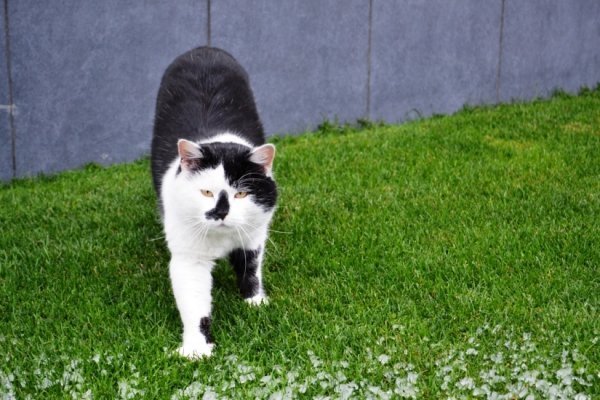 «Волинь»: фотопідсумки 2013 року