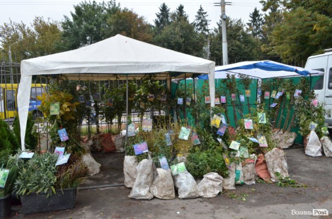 До кольору, до вибору і без «кусючих» цін: у Луцьку відкрився Харківський ярмарок*