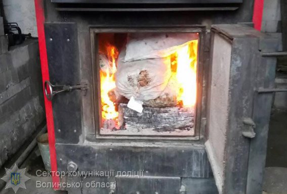 У Ковелі поліцейські спалили наркотики